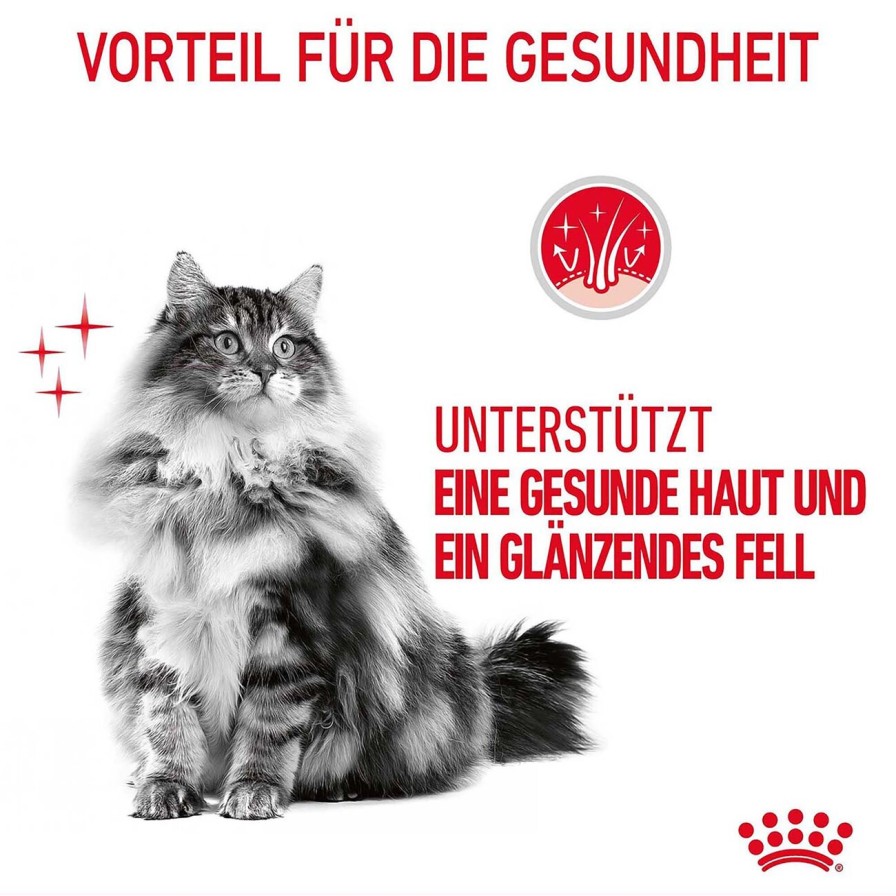 Royal Canin Royal Canin Hair And Skin Fur Glanzendes Fell Katzen Nassfutter Online