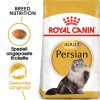 Royal Canin Royal Canin Persian Adult Trockenfutter Fur Perser-Katzen Hot