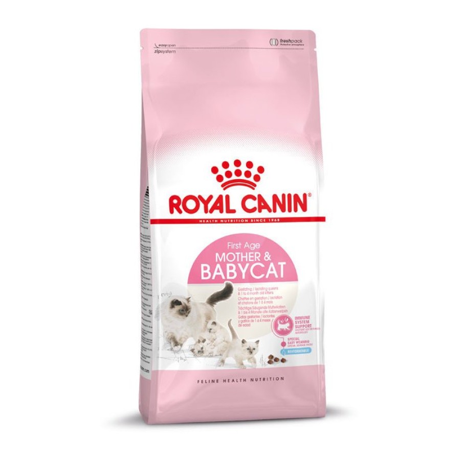 Royal Canin Royal Canin Mother & Babycat Katzenfutter Fur Tragende Katzen Und Kitten Best