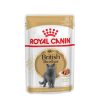 Royal Canin Royal Canin British Shorthair Adult Katzenfutter Nass Fur Britisch Kurzhaar Online