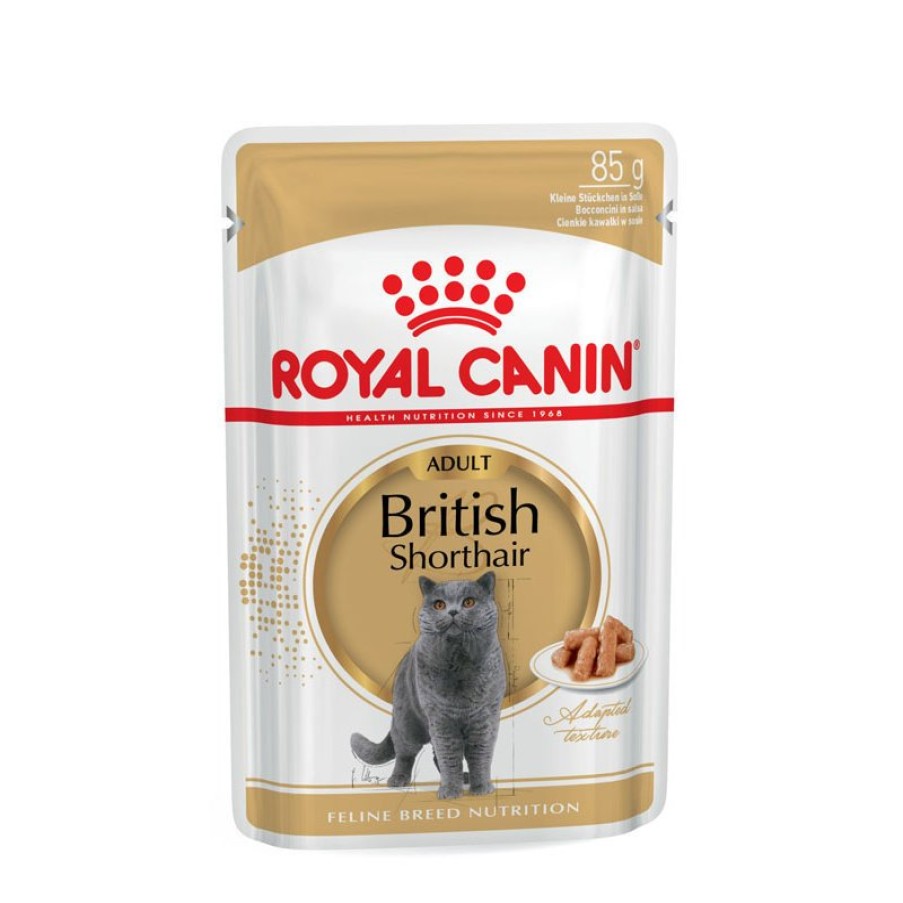 Royal Canin Royal Canin British Shorthair Adult Katzenfutter Nass Fur Britisch Kurzhaar Online