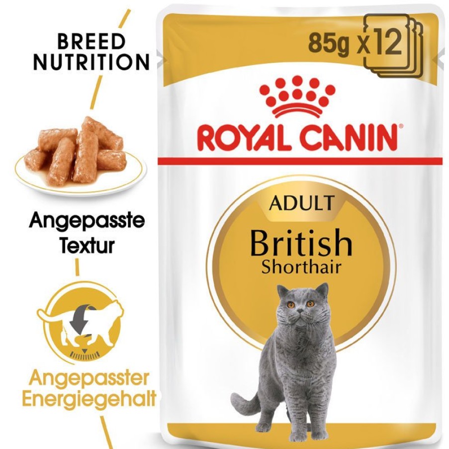 Royal Canin Royal Canin British Shorthair Adult Katzenfutter Nass Fur Britisch Kurzhaar Online