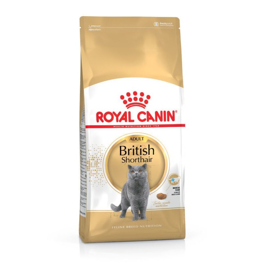 Royal Canin Royal Canin British Shorthair Katzenfutter Trocken Fur Britisch Kurzhaar Online