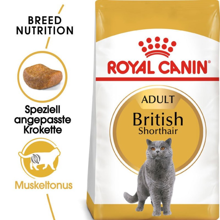 Royal Canin Royal Canin British Shorthair Katzenfutter Trocken Fur Britisch Kurzhaar Online