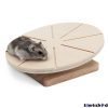 Living World Green Living World Green Laufteller Fur Hamster Und Mause Online