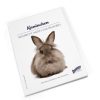 Bunny Bunny Book Kaninchen New