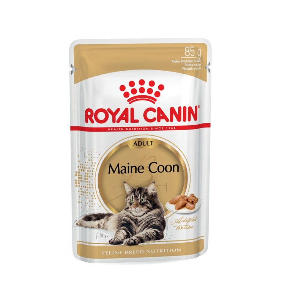 Royal Canin Royal Canin Maine Coon Adult Katzenfutter Nass Clearance