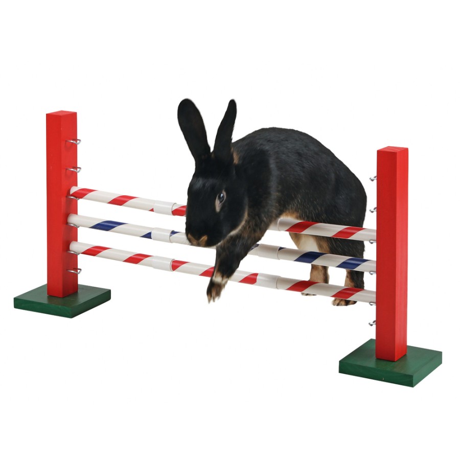 Kerbl Kerbl Kaninchen Agility Steilsprung Wholesale