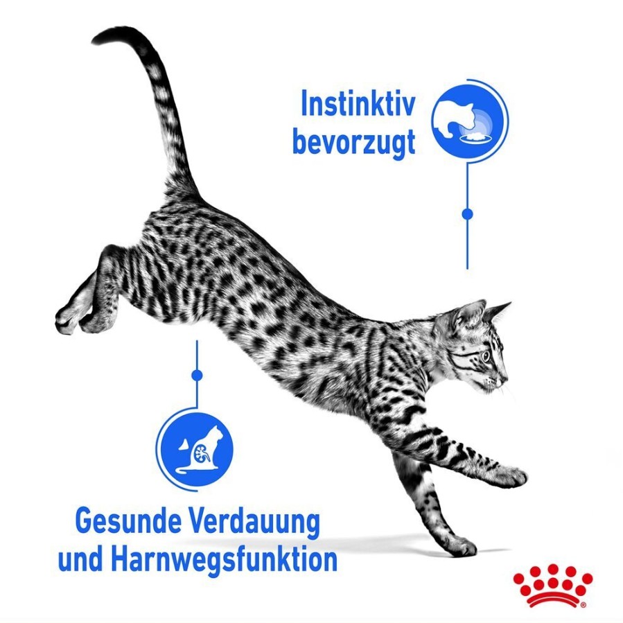 Royal Canin Royal Canin Indoor Sterilised Katzenfutter Adult Nass In Sauce Oder Gelee Hot