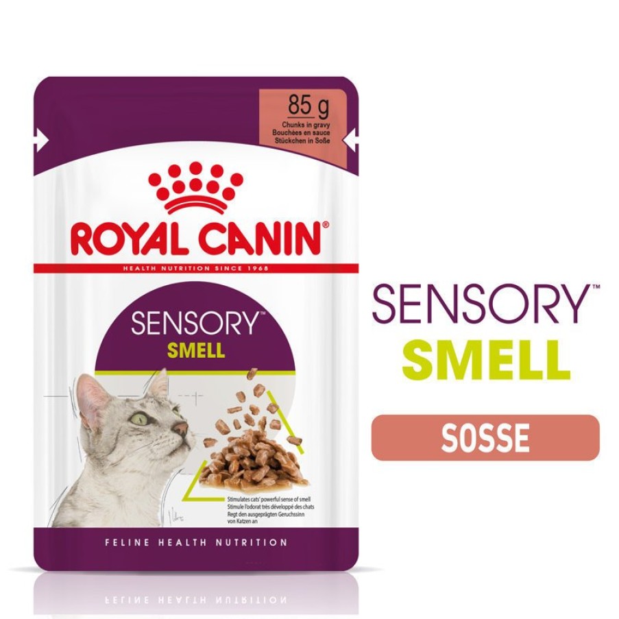 Royal Canin Royal Canin Sensory Smell Stimulation Katzen Nassfutter Wholesale