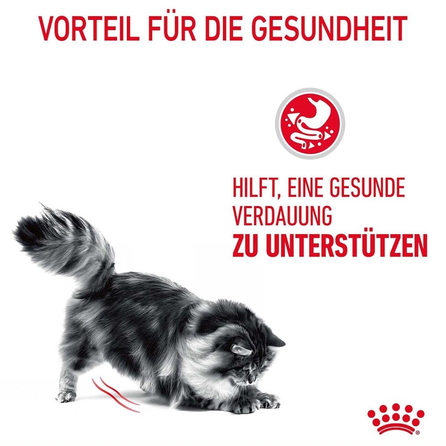 Royal Canin Royal Canin Digestive Care Trockenfutter Fur Katzen Mit Empfindlicher Verdauung Online