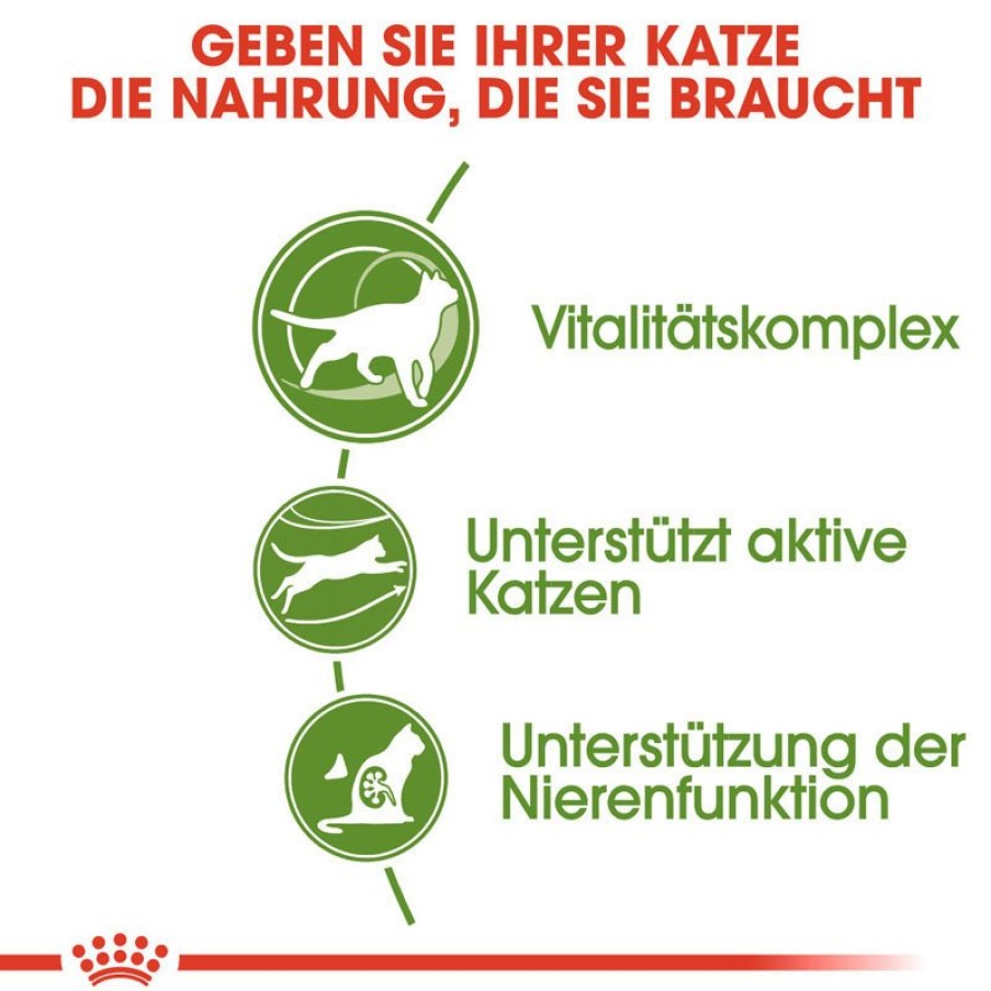 Royal Canin Royal Canin Outdoor 7+ Katzenfutter Trocken Fur Altere Freiganger Wholesale