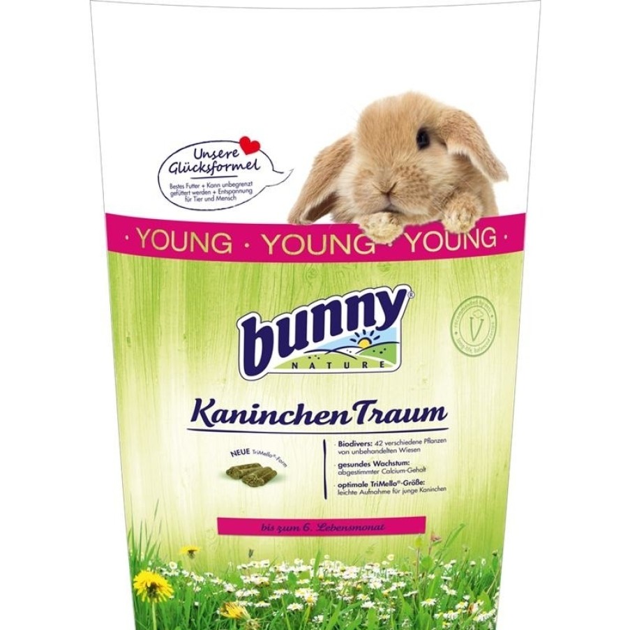 Bunny Bunny Kaninchen Traum Young New