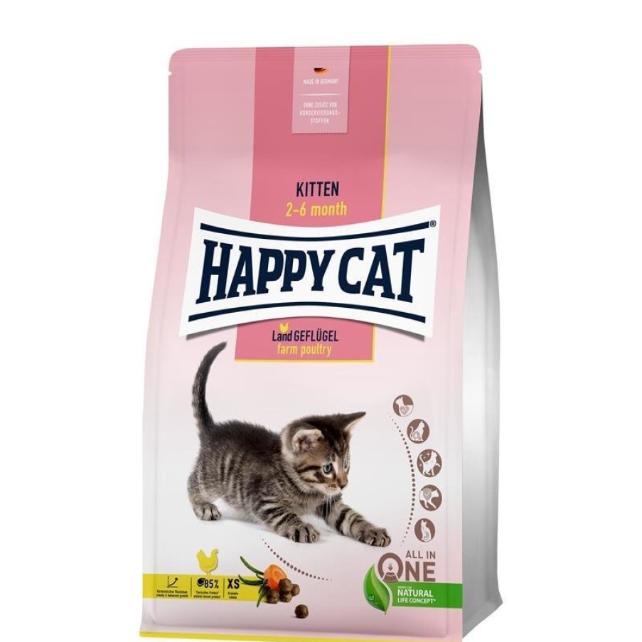 Happy Cat Happy Cat Young Kitten Land Geflugel Hot