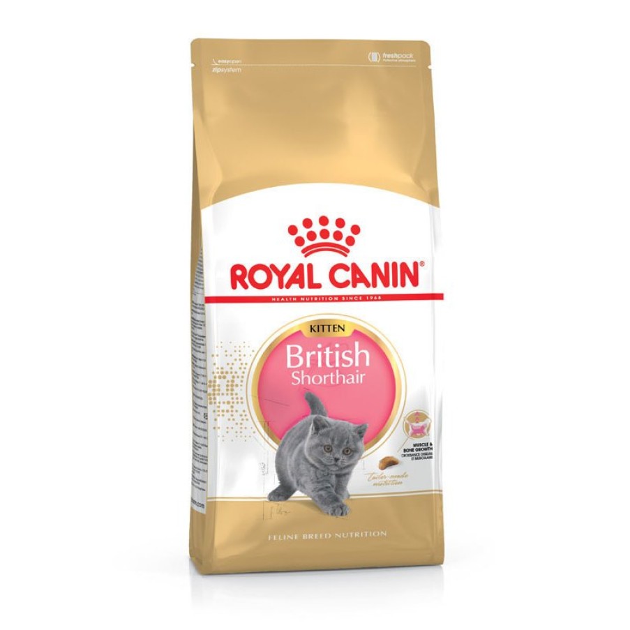 Royal Canin Royal Canin British Shorthair Kitten Clearance