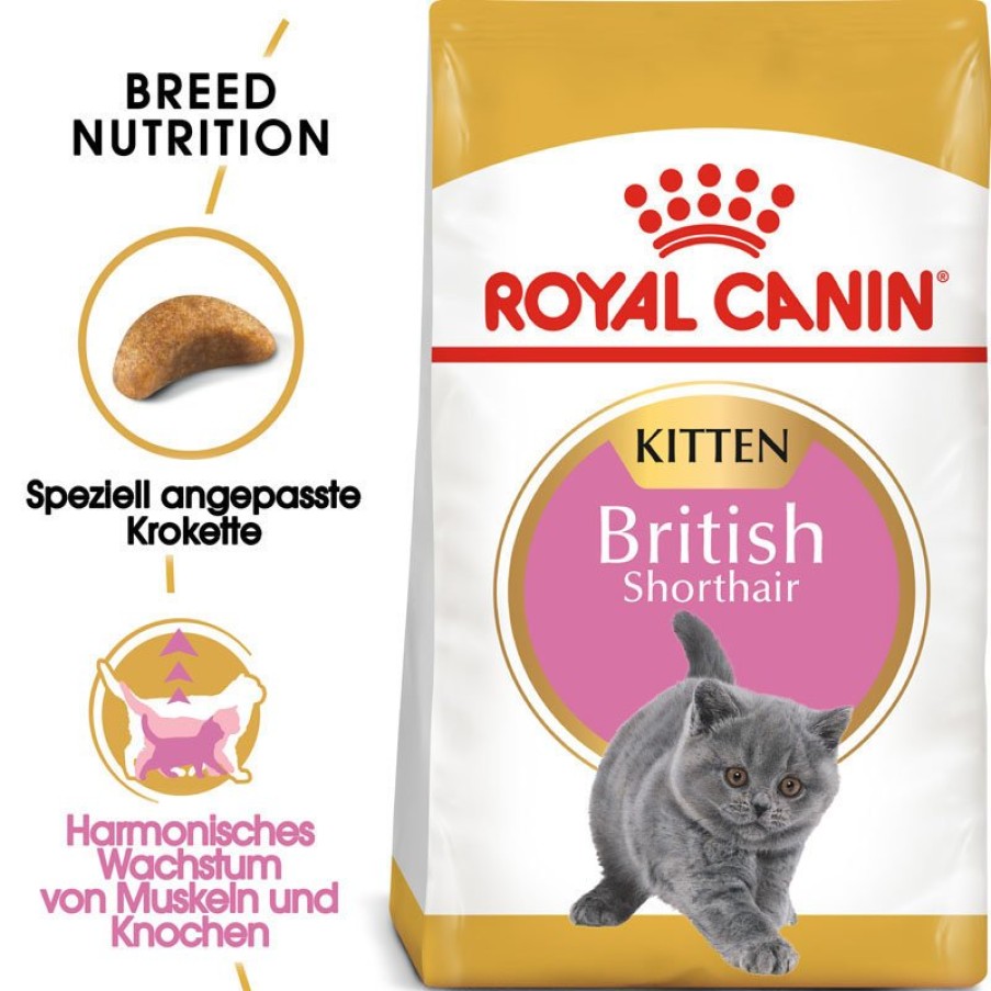 Royal Canin Royal Canin British Shorthair Kitten Clearance