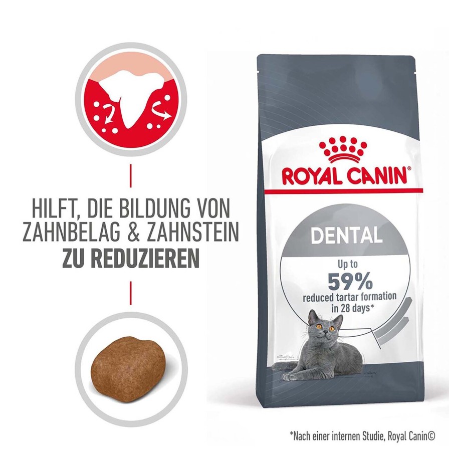 Royal Canin Royal Canin Dental Care Katzenfutter Trocken Fur Gesunde Zahne Hot