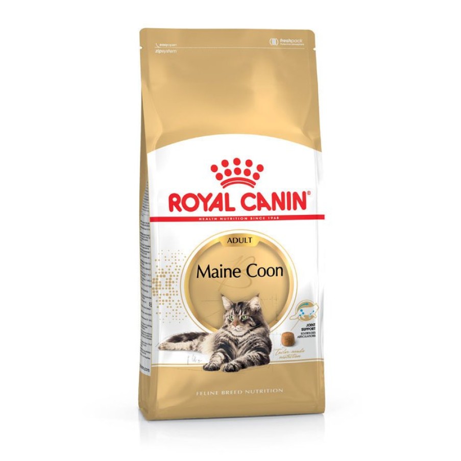 Royal Canin Royal Canin Maine Coon Adult Katzenfutter Trocken Wholesale