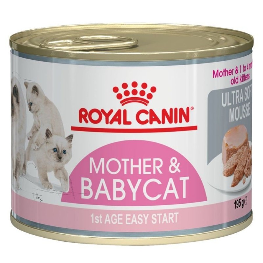 Royal Canin Royal Canin Mother & Babycat Mousse Fur Tragende Katzen Und Kitten Wholesale