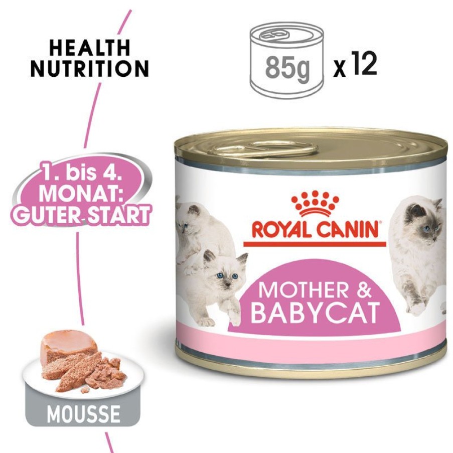 Royal Canin Royal Canin Mother & Babycat Mousse Fur Tragende Katzen Und Kitten Wholesale