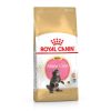 Royal Canin Royal Canin Maine Coon Kitten Hot