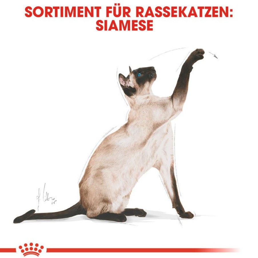 Royal Canin Royal Canin Siamese Adult Katzenfutter Trocken New